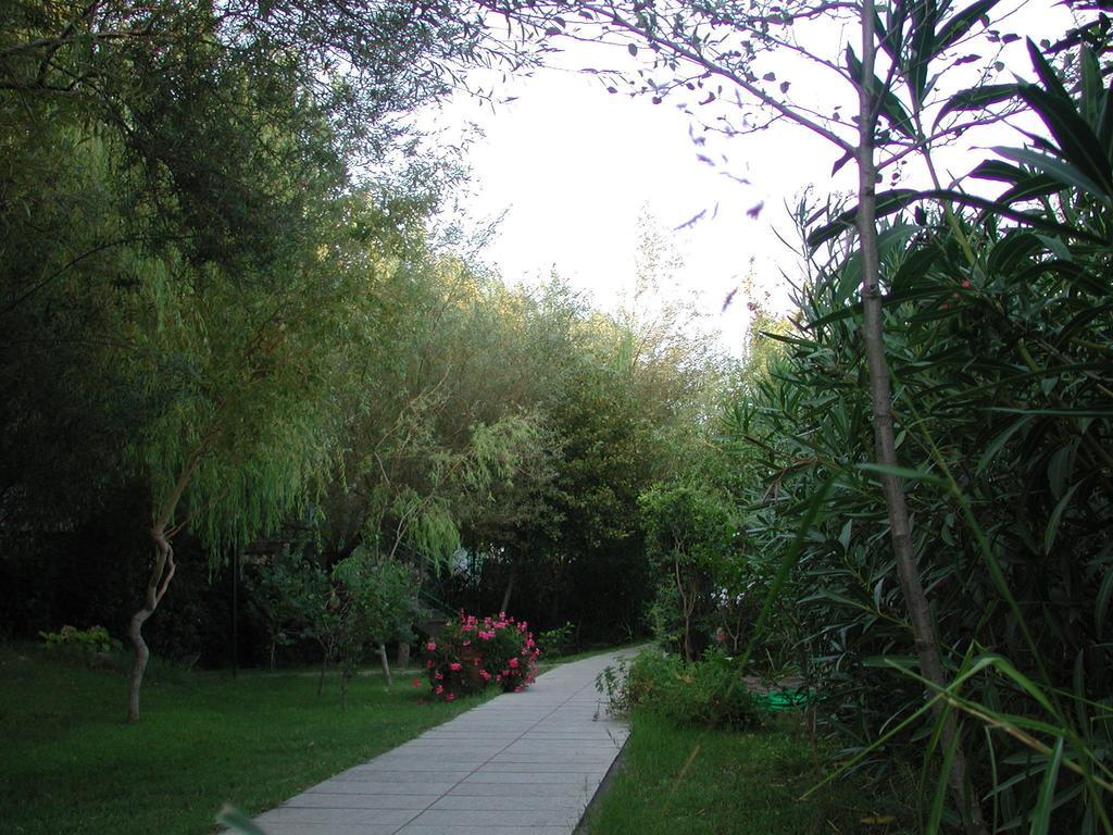 Apartment Gli Ontani Cala Liberotto